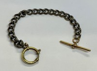 Steel and Gilt Single Albert Watch Chain